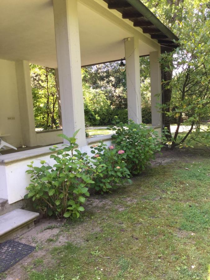 מאסה Villa Poveromo מראה חיצוני תמונה